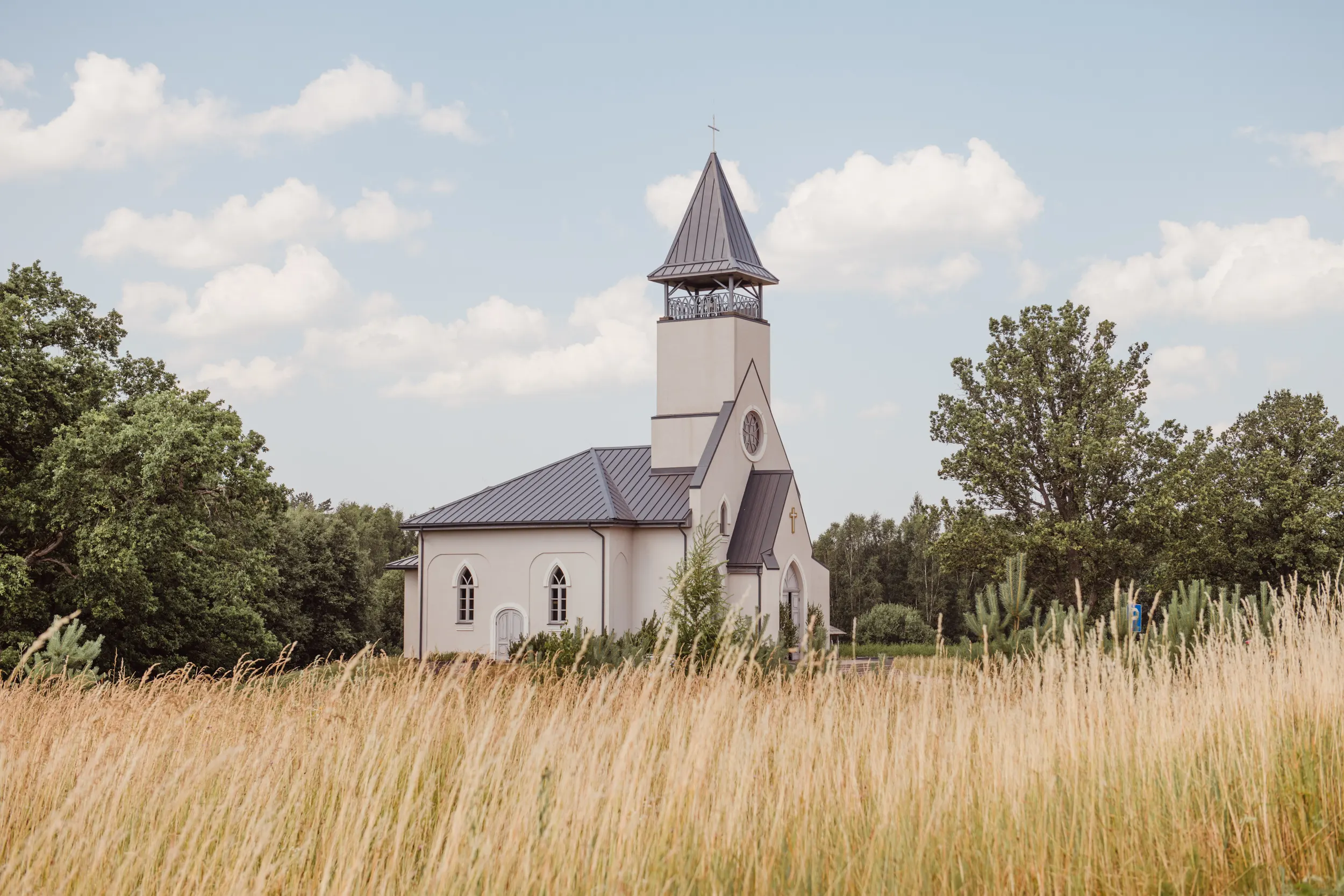 Simona and David wedding photography in Latvia, photograph 30